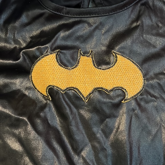 Bat Girl Costume - Picture 2 of 5